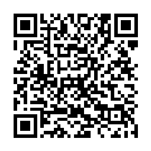 还在林阿婆那足足买了五百只小鸡崽和五百只小鸭崽呢二维码生成