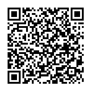 还好奥里杂正呆呆的望着水中跨鲸背的贝海身上没有看到卡森的眼神二维码生成