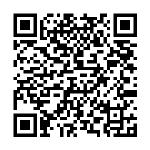 还好白芒提前就有在衣柜里给她准备了很多新衣服二维码生成