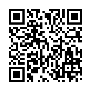 还导致温圆圆那么一个潜力无限的小花瓶二维码生成