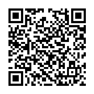 还扯了不少的小花朵送给两个不能出垫子的弟弟玩二维码生成