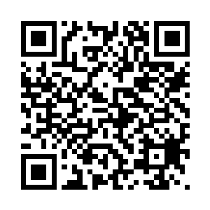 还挑我不在家的时候给老刘打电话二维码生成