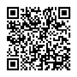 还是……以后会重新弄个新的躯壳再次进入副本二维码生成