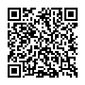 还是你以为我们几个家伙都不过是怕死之辈而已二维码生成
