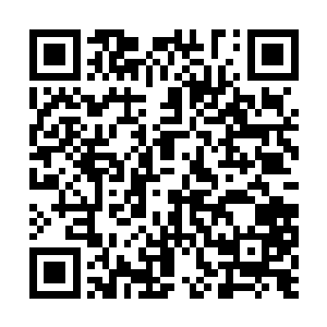 还是你们一门教训我这个不知道天高地厚的臭小子二维码生成