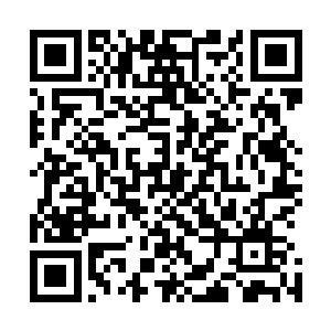 还是入江正一觉得他们就这样在门口站着不干正事不太合适二维码生成