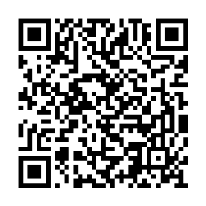 还是其后面临那些强者时表现出来的勇气与决心二维码生成