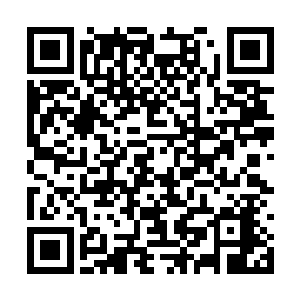 还是凤之遥被其他众位前辈以眼神威逼着起身问道二维码生成