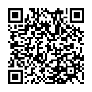 还是刚留头的……昨日看到倒座房次间太破落了二维码生成