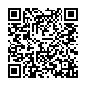 还是因为当年司南下和成千鹤争市长时结下的梁子二维码生成