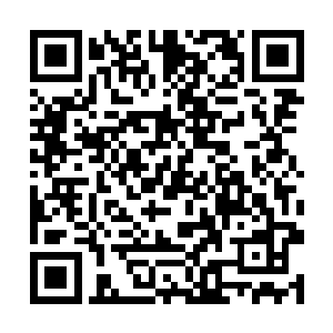 还是因为看到安哥俾得谢老夫人亲点护送凤血石进城二维码生成