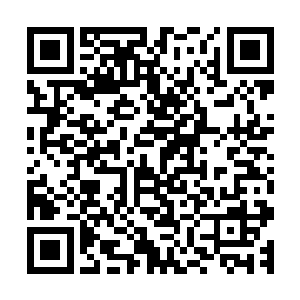 还是头一回看到她在别的男人面前表现这么泼辣和强势的一面二维码生成