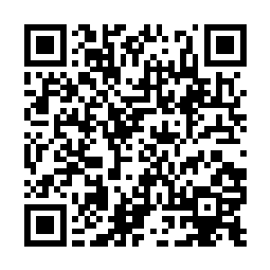 还是实力不够强的结果……凌蘭很讨厌这种无力感二维码生成