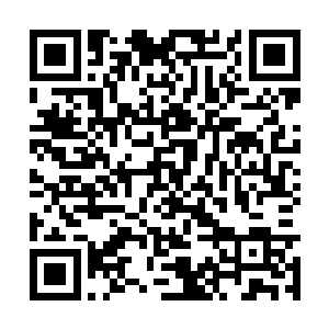 还是当初那个让你嫌弃的要命的逍遥山庄的少庄主二维码生成