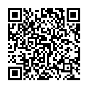 还是怕咱们追究他杀人的责任……若是此人真的别有意图二维码生成