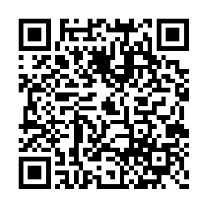 还是我一点一点的让你们郑家付出不能承受之重二维码生成