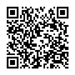 还是有大部分的人对青山书院并不抱着友好的态度二维码生成