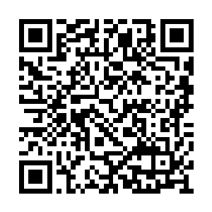 还是有意无意的透露了下姚若溪家一年进账多少二维码生成