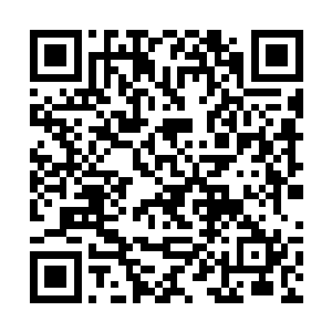 还是杜维那家伙将自己的消息透露给了艾泼斯坦家族二维码生成