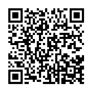 还是根本不在乎这些在别的尸兄看来异常惊人的权力二维码生成