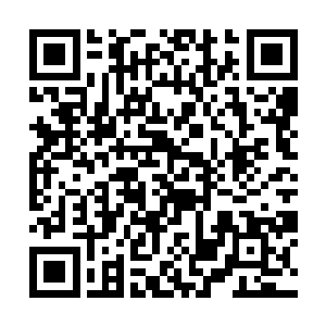 还是睡一觉来的真实一些……暴风雨欲来她只能接着二维码生成