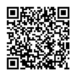 还是祖父亲自教导了一个叫做玉擎南的武学天才二维码生成