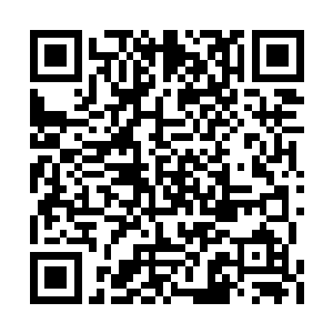 还是第一次看见有人拿着菜篮子提着宝物上来呢二维码生成