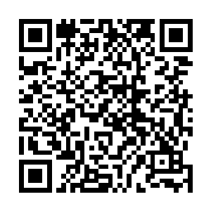 还是老老实实向老人报告着最近几天发生在舰队中的骚乱二维码生成