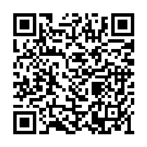 还是耗费了极大的天道之力去催动万里河山图的二维码生成