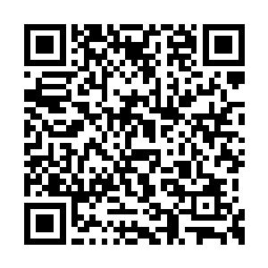 还是脸上火辣辣的疼痛让安瑞的脑袋清醒了许多二维码生成