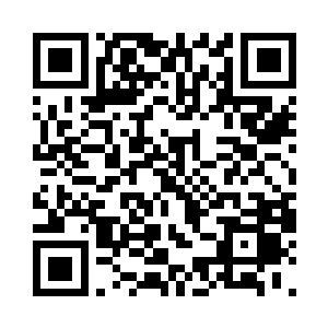 还是让苗苗在上面陪着少夫人说会儿话二维码生成