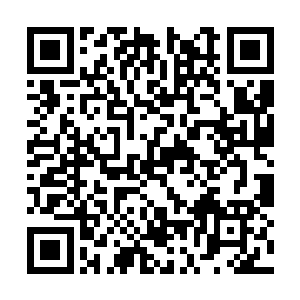 还是说他压根就不知道极品圣器究竟有多么的珍贵二维码生成