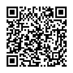 还是说前期那些观察已经让她不知不觉进入到自己的心里了二维码生成