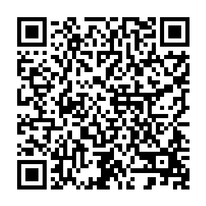 还是退朝回到家后听到派去盯着王府的人汇报说今天一整天荣亲王夫妇都没出府二维码生成