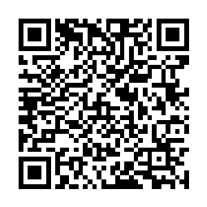 还是那天早上看见了小姑姑在翻倪氏的新品宣传册二维码生成