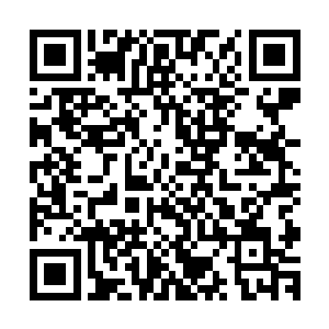 还是长公主的身份以及公主府这面围墙圈住了她的眼界和思想二维码生成