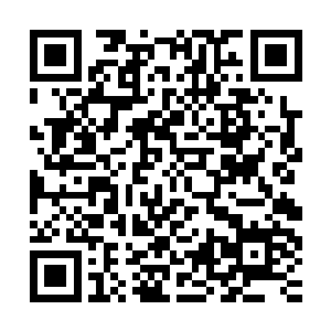 还是革新派战胜了四大选帝侯之后又被黑星大帝篡夺了革新果实二维码生成