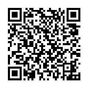 还是顶替受伤的孔帕尼出首发出场时表现都很稳定二维码生成