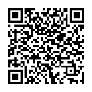 还是马文呼吁候鸟议会的众人一同对付冥凤的时候二维码生成