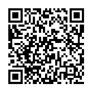 还有……还有让傲龙会在三天之内消失在苏阳市二维码生成