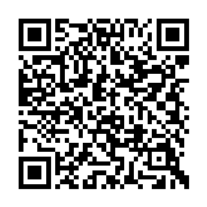 还有一个原因就是他们为了修为提升的委曲求全二维码生成