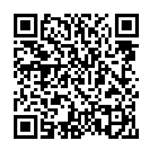 还有一个就是龙凤族未来的继承人南宫流云……二维码生成