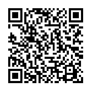 还有一个更是如同蛇一般流着哈喇子在家里爬行二维码生成