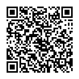 还有一个活了不知道多少年却依然是个少年的星兽正在和他们战斗二维码生成