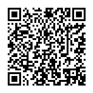 还有一些同学自发自愿掏钱到学校旁边的小卖部买香肠热狗给这些野狗吃二维码生成