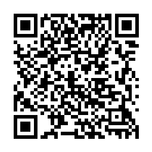 还有一些家族或者修士根本就是抱着来打劫的想法二维码生成