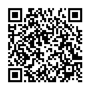 还有一些材料也是可以用来依附修炼出身外化身的二维码生成