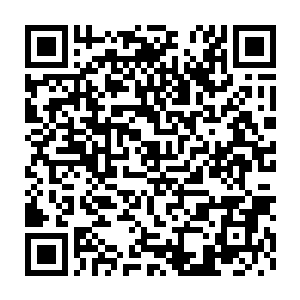 还有一些老幼穿沙甲开始绘声绘色地形容它们在地下城冒险的一些经历二维码生成