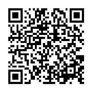 还有一件她不愿意承认的那就是极无贰说她是他妹妹二维码生成