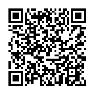 还有一场大型的钓鱼比赛颁奖仪式需要我看着呢二维码生成